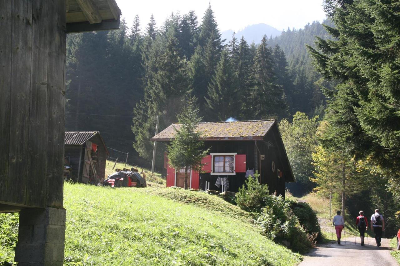 Heerlijke Wandel Of Ski Vakantie In Torgon Portes Du Soleil エクステリア 写真