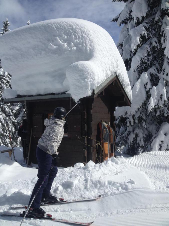 Heerlijke Wandel Of Ski Vakantie In Torgon Portes Du Soleil エクステリア 写真